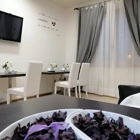 Centro 3* 比森齐奥营
